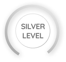 Silver Level